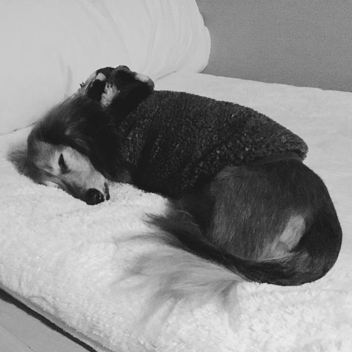 E7c45c15 d102 4987 b38e 34ac737c72d7