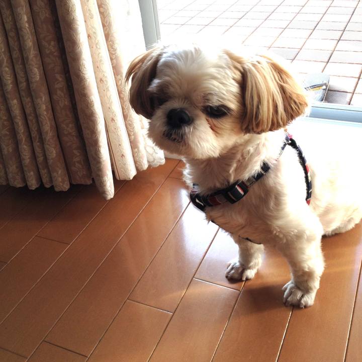 E7c52203 ea8a 4d33 b5bb bcac6fead55d