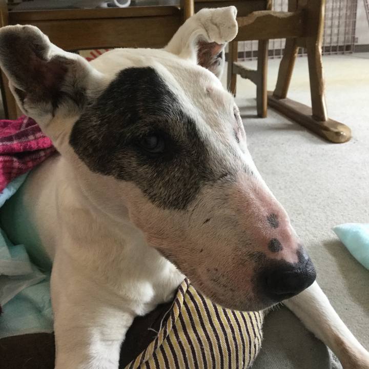 E7c59cff 9db1 464b bba9 dbd90ea6a9f1