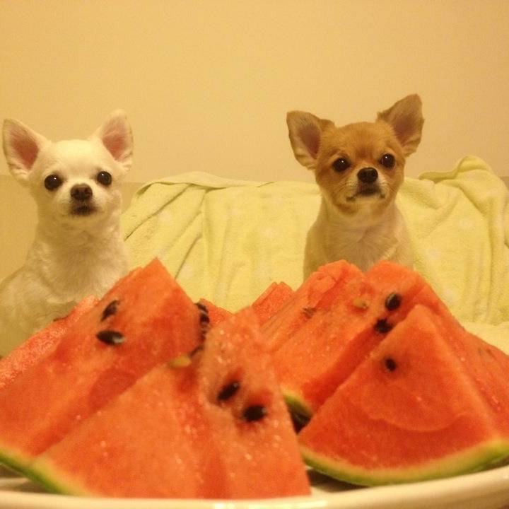 E7c604c0 6339 476d bbe3 0bbb07d96570