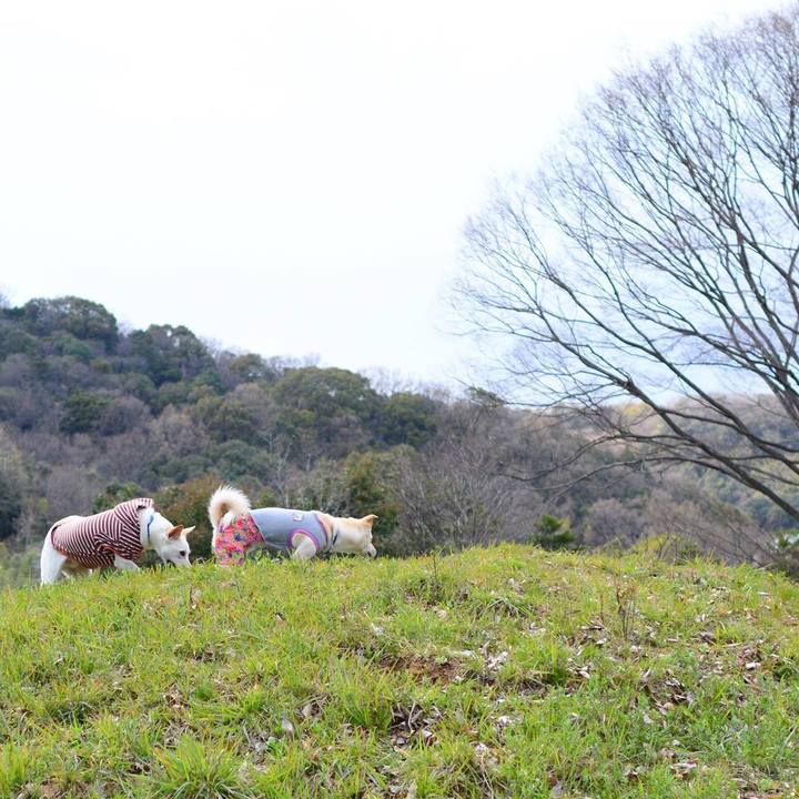 E7c605e5 6a6b 4e42 8ab8 5de1558ce5f1