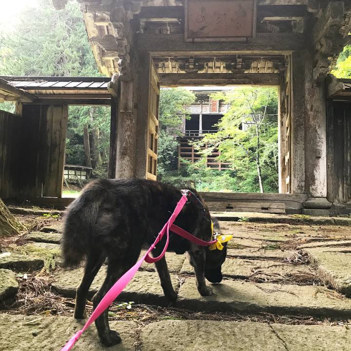 E7c60d92 3078 4431 9e0e 94449482e56e