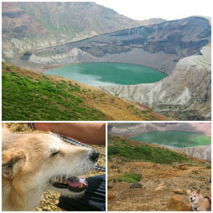 E7c7ba4b f65d 4aee b36d 6e8a5bb7ff60