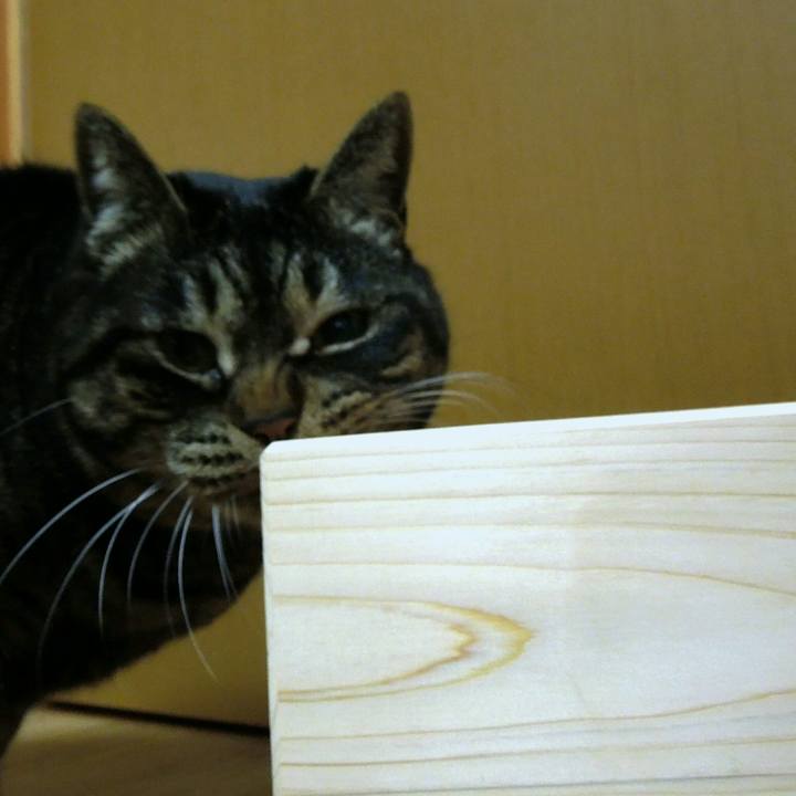 E7c7d076 5c31 45da b877 7ef9426b4885