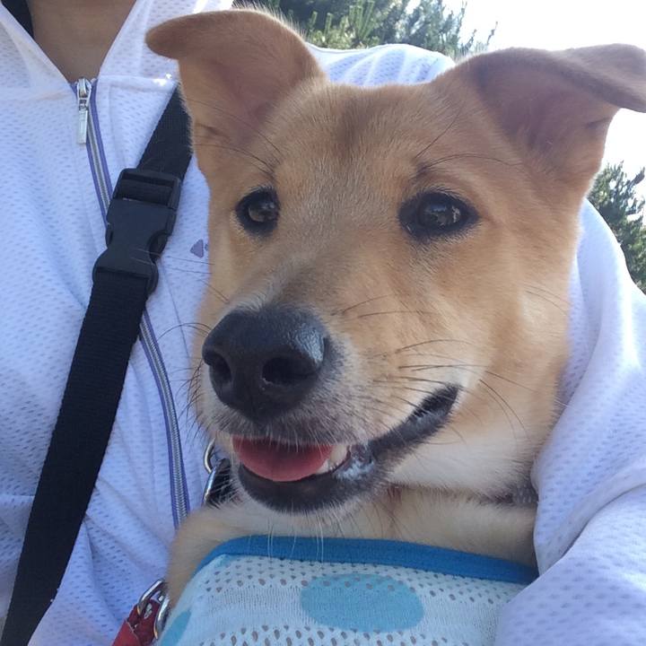 E7c8e231 ab15 4d95 9102 753f6ca9a1fb