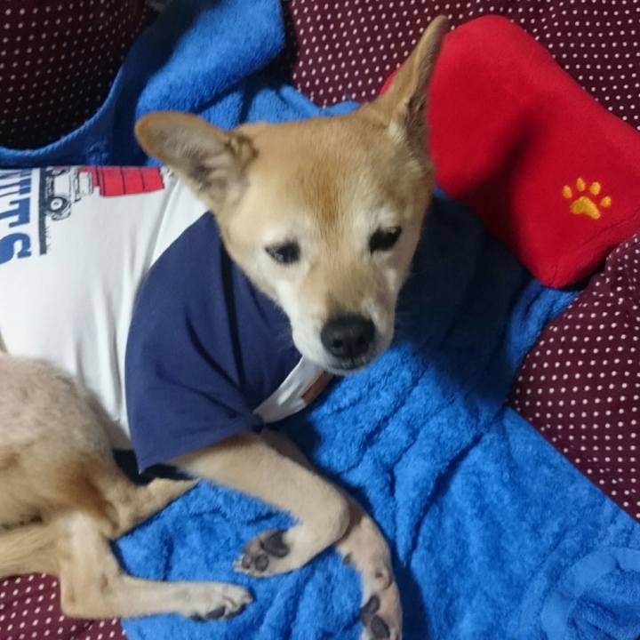 E7c9786a b5d5 4794 9775 a3259cbd6850