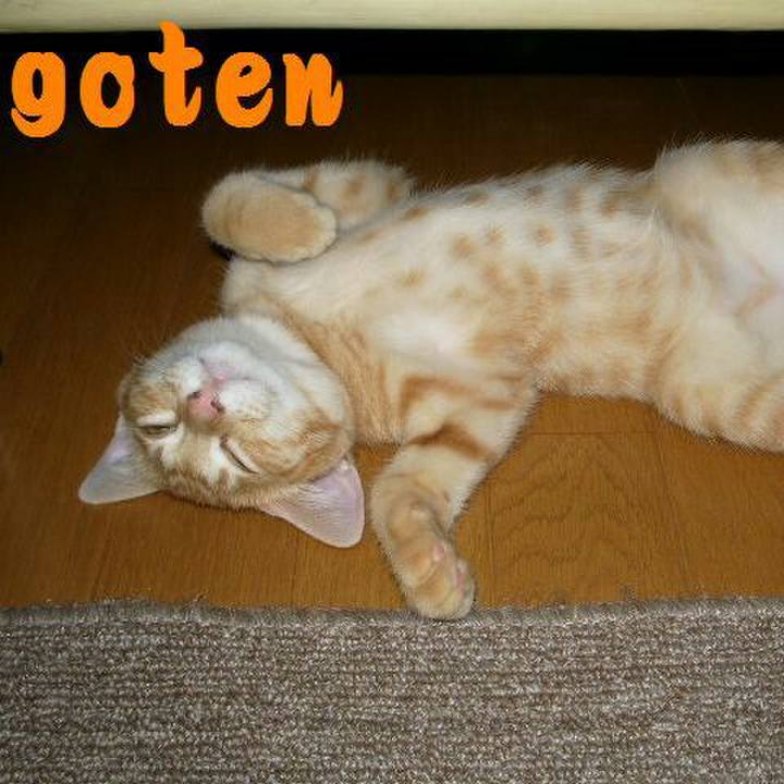 E7ca14a5 f694 4881 94ed 10bc3757a819