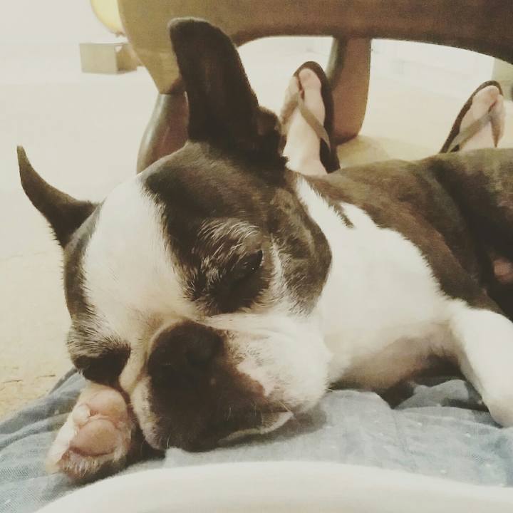 E7ca5464 858e 4f3a 8835 d1912511c0ce