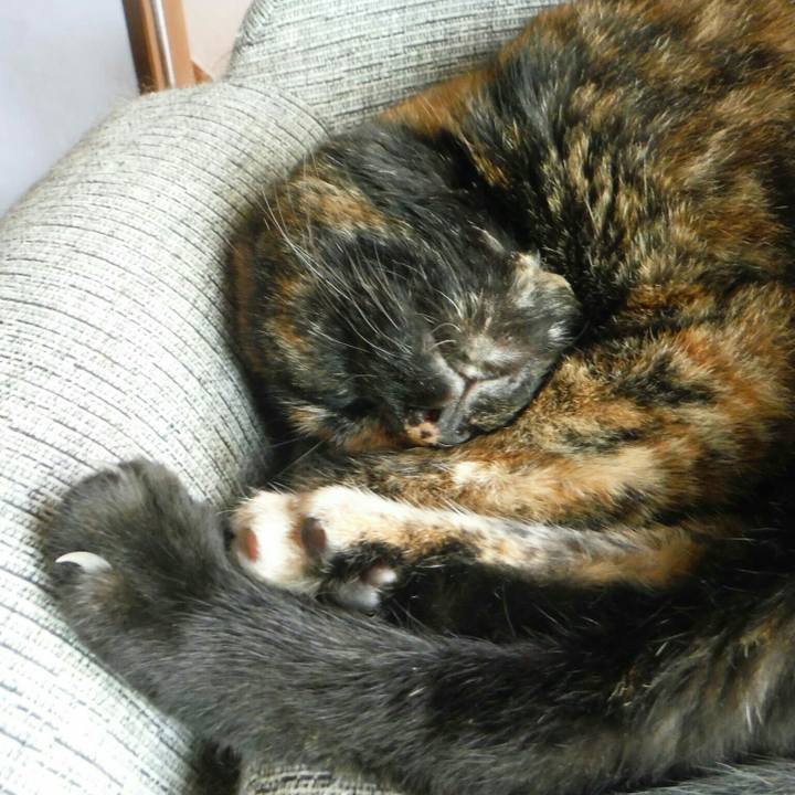 E7cac1ee 62da 452f ba11 42241cf1aa7b