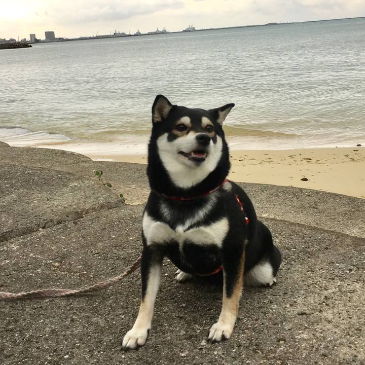 E7cb37f0 11c4 4f70 8b5d 968d51e48689