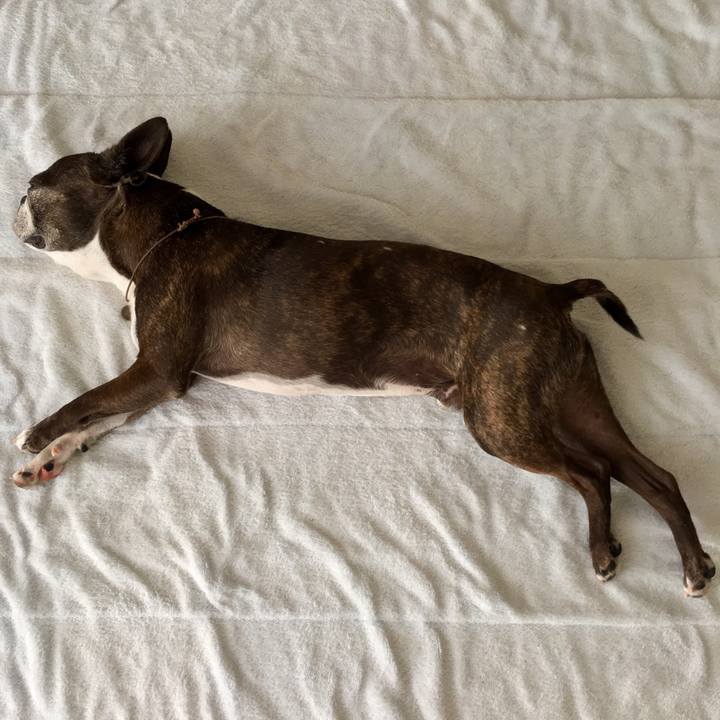 E7cb8de1 9663 4571 b901 a910facb77d5