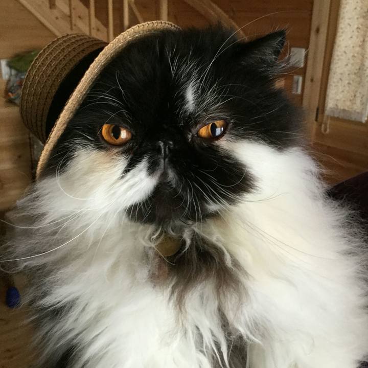 E7cbbc39 a496 4215 9d38 68ab834f9e97