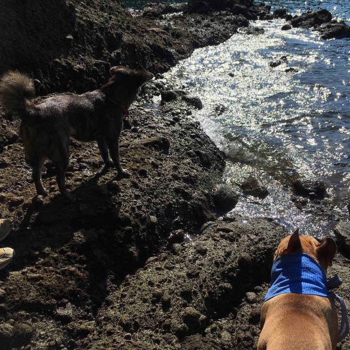 E7cbec3b 92b2 4425 aa18 2b0ca0f3d6f6