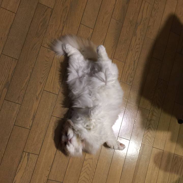 E7cc9135 9112 495a 8d2d bc7d06efcc50