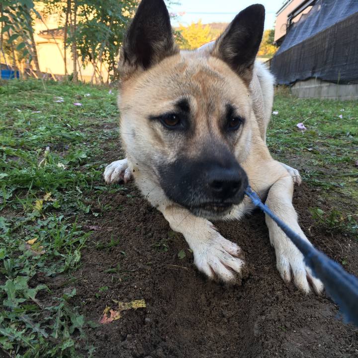 E7ccbd38 5dc0 4ec9 8f7a 029be7afc377