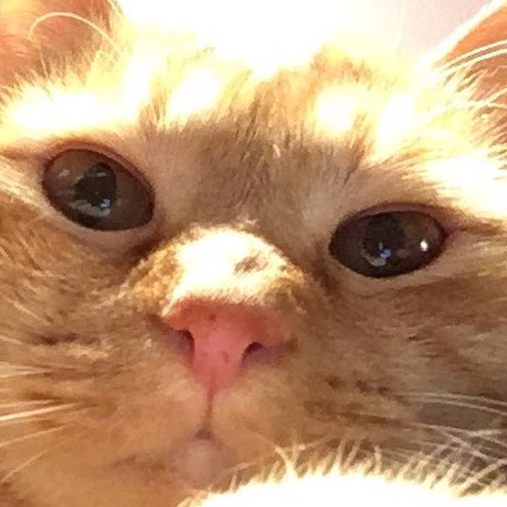 E7cd5ea4 ac4e 46d5 b008 3ecd6100d2f4