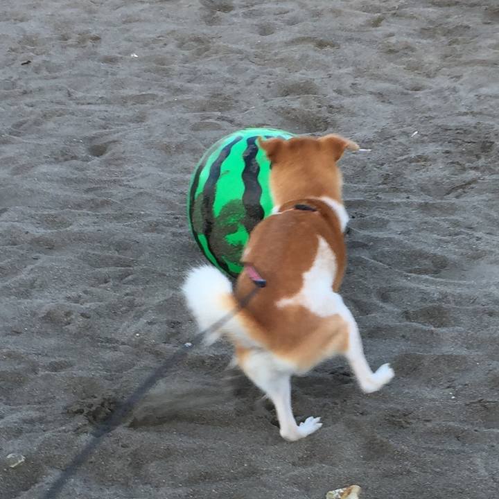 E7cd67ef 714a 41f9 b58d b6833378fed4