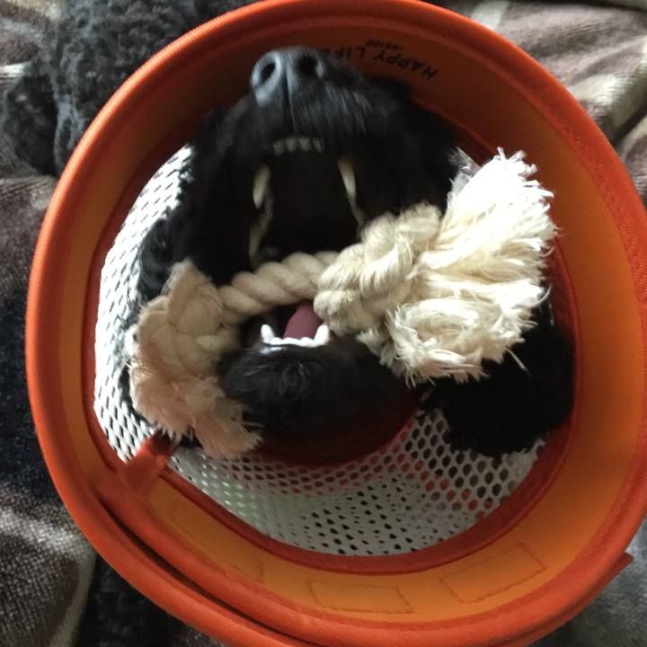 E7ce0282 5312 4e69 9bb0 c3921f22b0a8