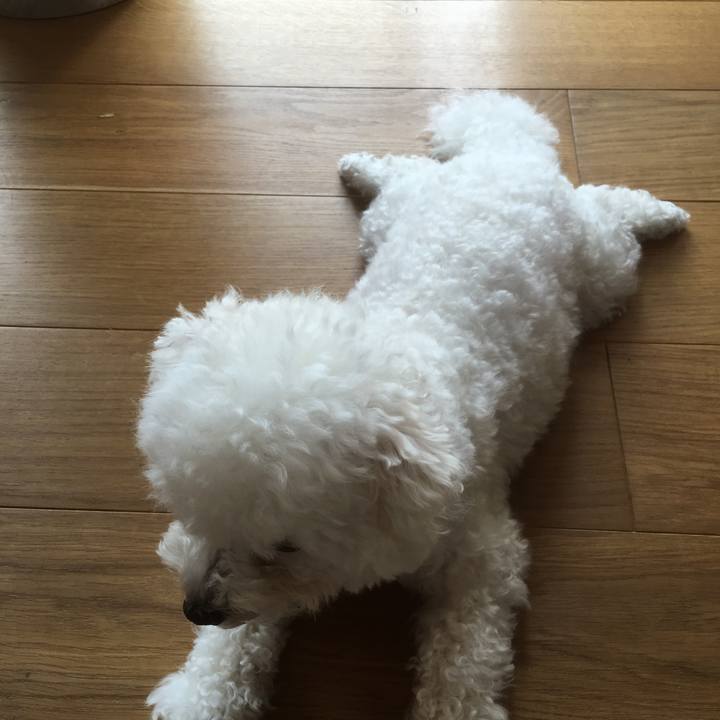 E7ce38c4 9a5e 44d0 90e0 35584ad32fb9