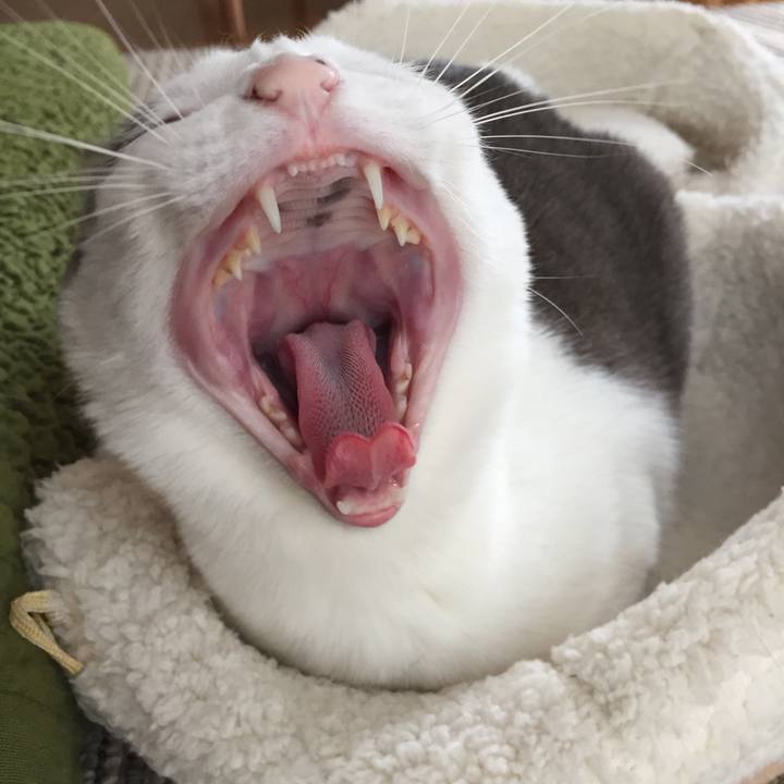 E7ce4358 0076 4d6e 811f c9c37f6fe822