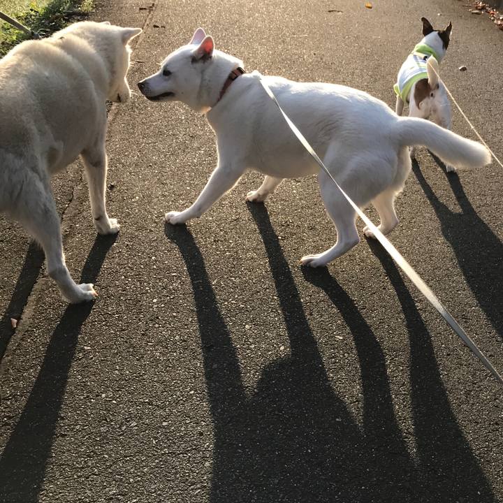 E7ce449d 7ef9 4e3d 8762 2935a7865df6