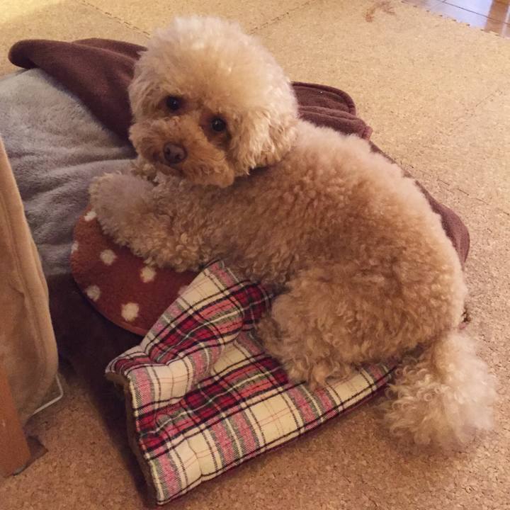 E7cef925 8323 4462 bb99 0170e40838ec