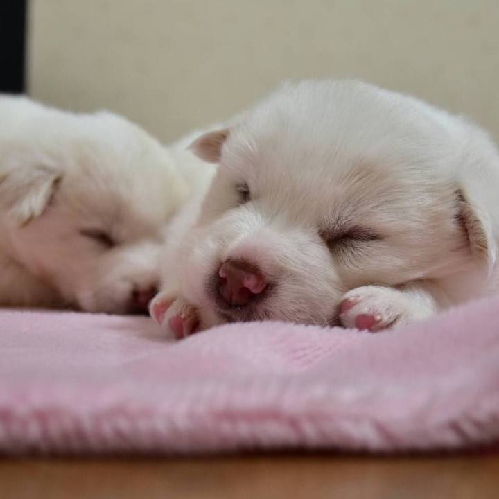 E7cf41cd e737 4f33 a84c 35857169d412