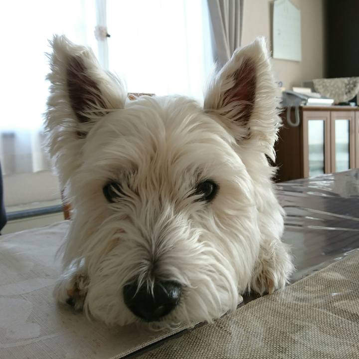 E7cfd605 93db 48dd b970 8d267f24a6d8