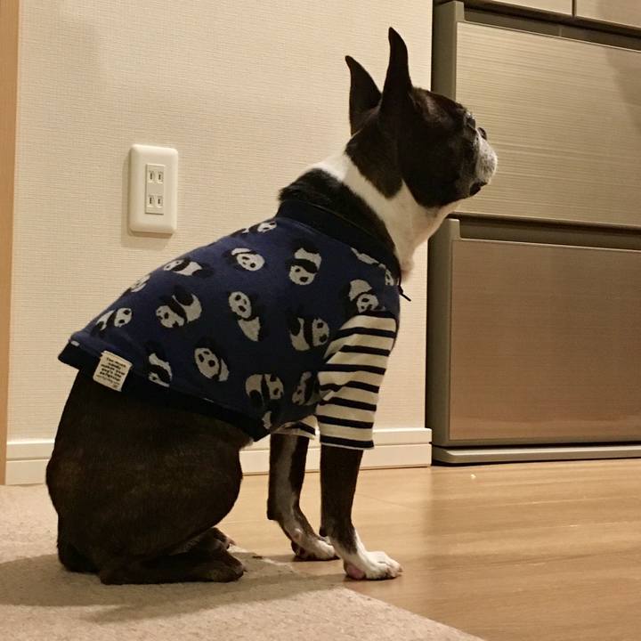 E7d03309 7d88 4448 bb65 86a914bea50b