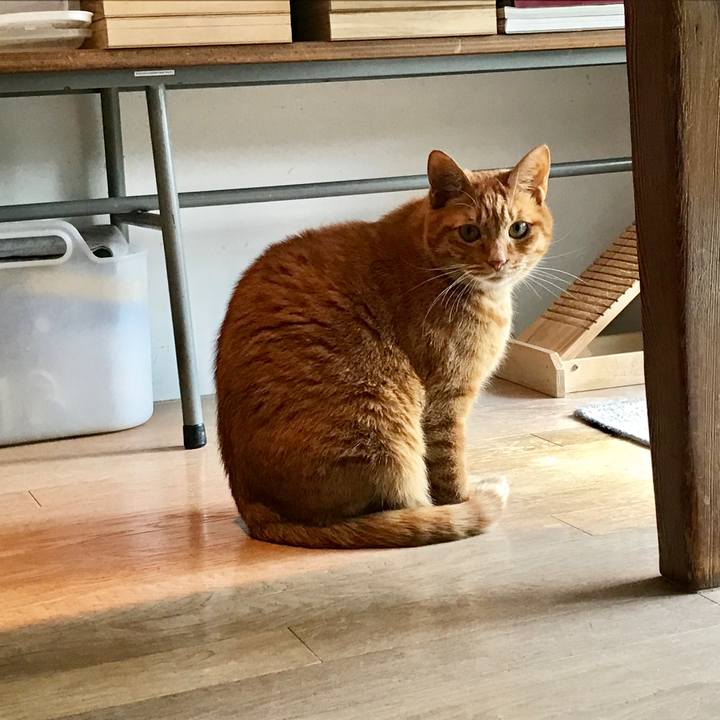 E7d08d7e 91e5 42bb bad8 63d4aab3336a