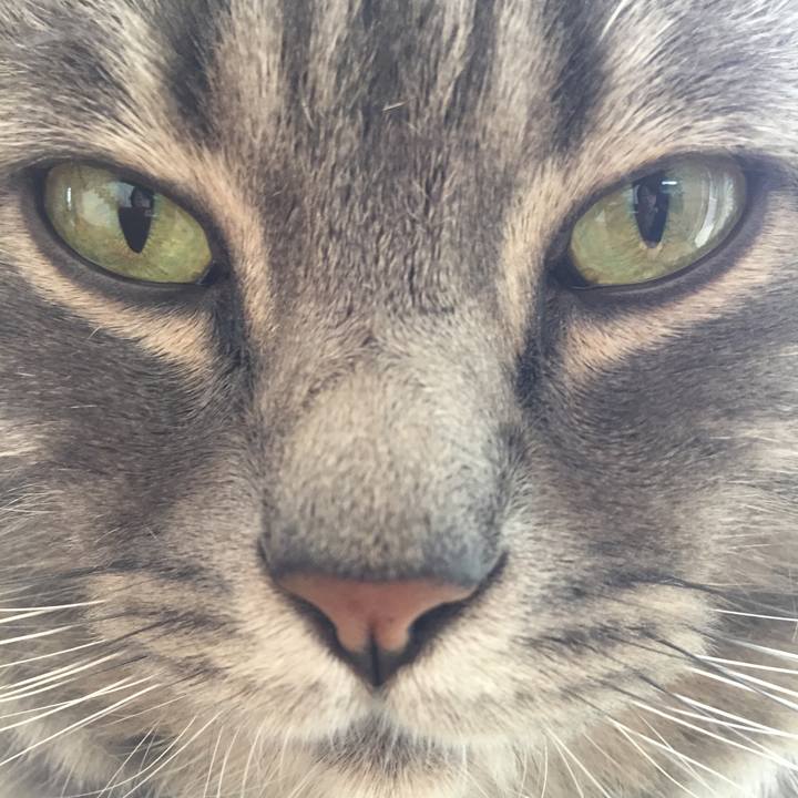 E7d0a9f4 0f21 4c71 a7dc 91f28c7a493f