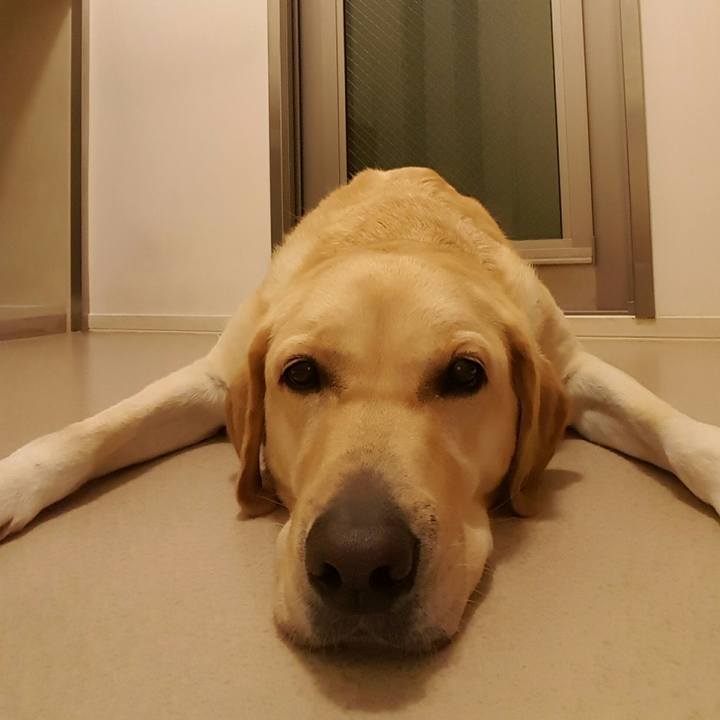 E7d0f690 fb33 4190 beb3 7bc4dde90c5c