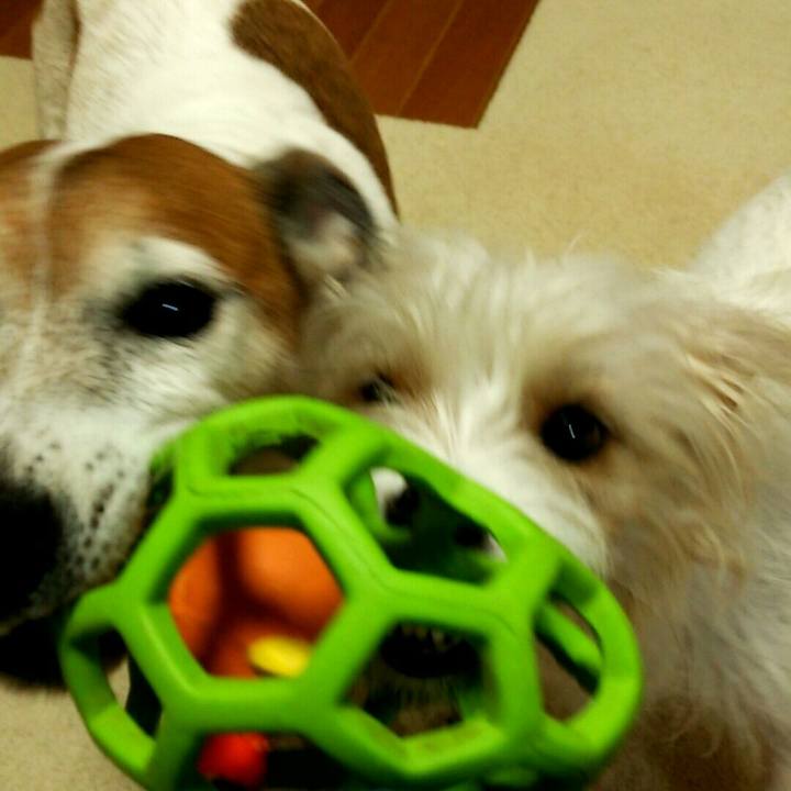 E7d1000f cf42 4803 830b b9d6106b50e5