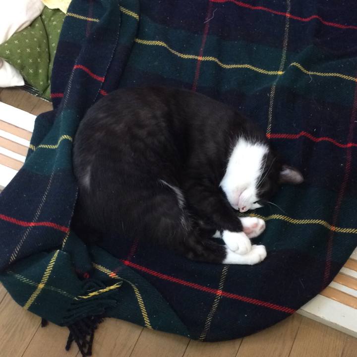 E7d1025c 170d 4702 aa51 9f9e86bfefda