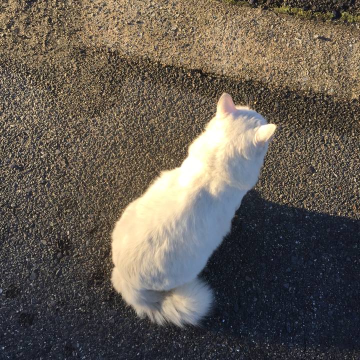 E7d1503e 14d0 4ff9 8739 1f134a352f0c