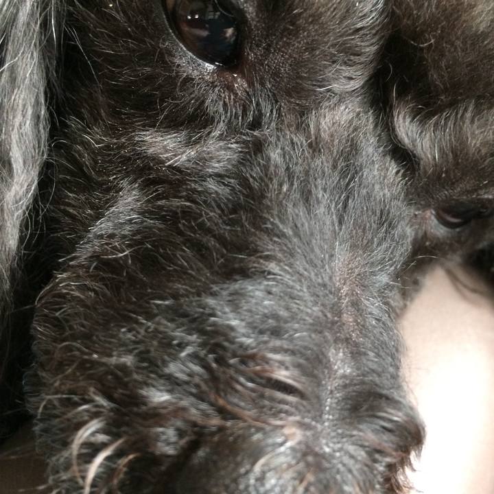 E7d20a25 f05d 49ed b6c3 b58e9410c92c