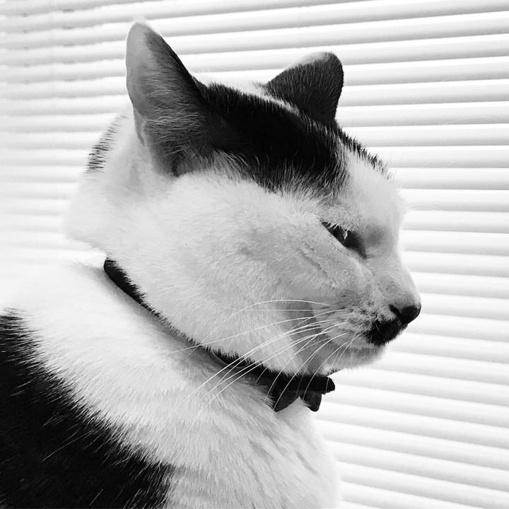 E7d30ec7 1fbd 486d a343 8f3308c64aee