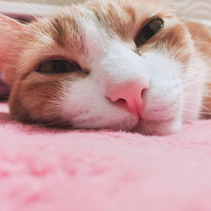 E7d31ff0 fff3 4f8d aa98 fcdf1ab95f5d