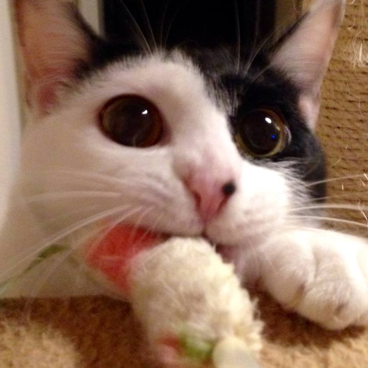 E7d32c40 8c33 4e62 9941 f328acc56ac9