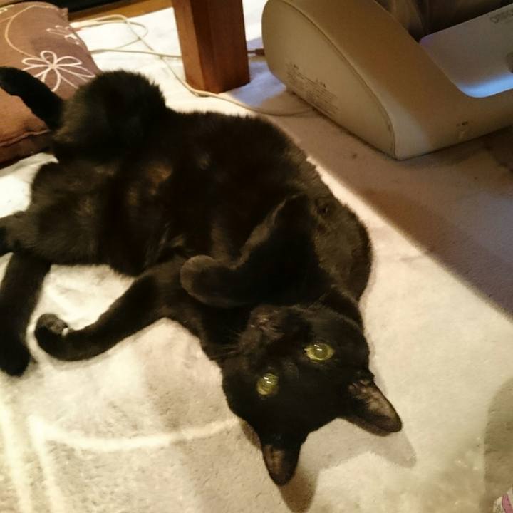 E7d348e4 1edb 44c2 be77 b16e12cfa000