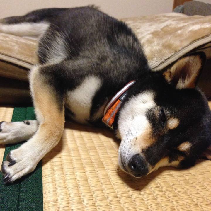 E7d425bb 7536 47c6 a57f 72c8533a600d