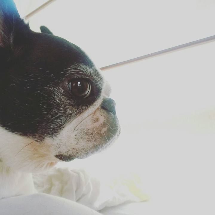 E7d43dda 3403 48d8 af3f b6ba7278968e