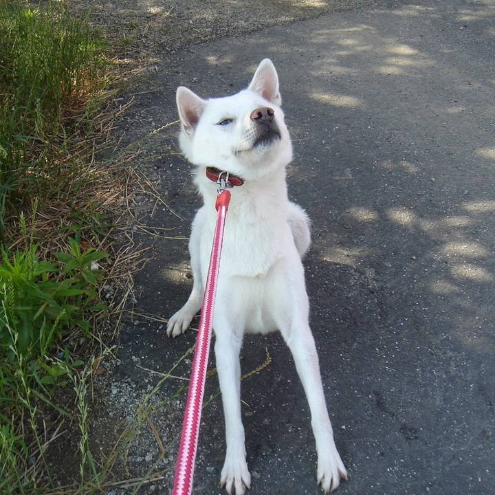 E7d45552 33cf 4dc6 a9d6 2f022455a257