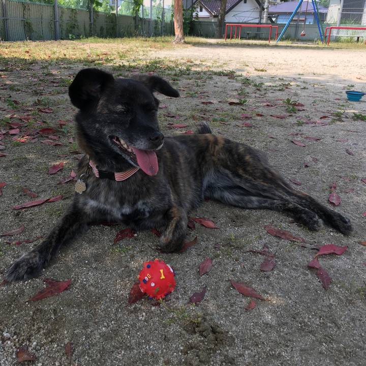 E7d4dbce ae18 4e43 ae44 761a7be83cdd