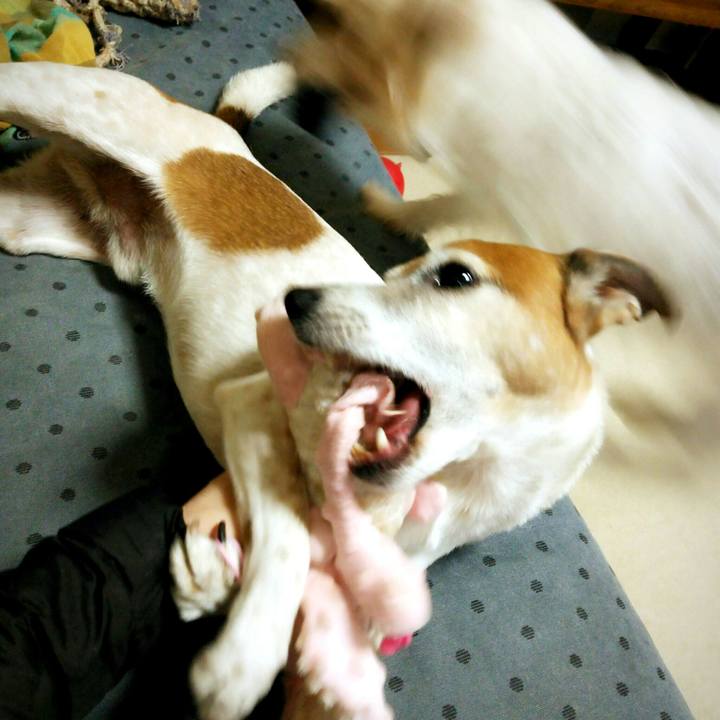 E7d4e5dd 6ae3 4833 9341 86e004c22c38