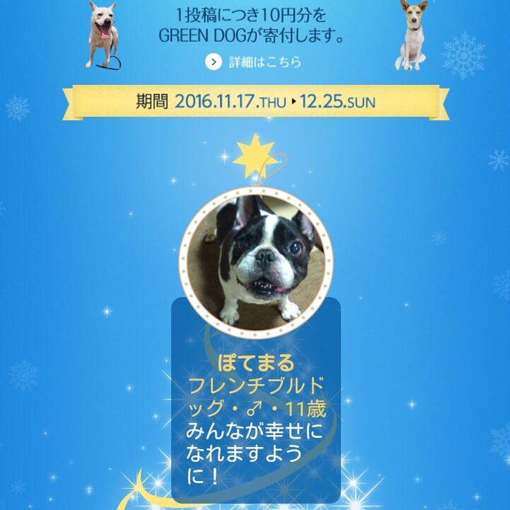 E7d4eb78 4a57 4a99 8c19 abb11570ebf7