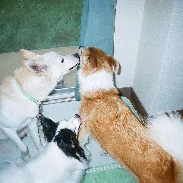 E7d528bb f513 4c82 bb32 0bf3b4a62fd9