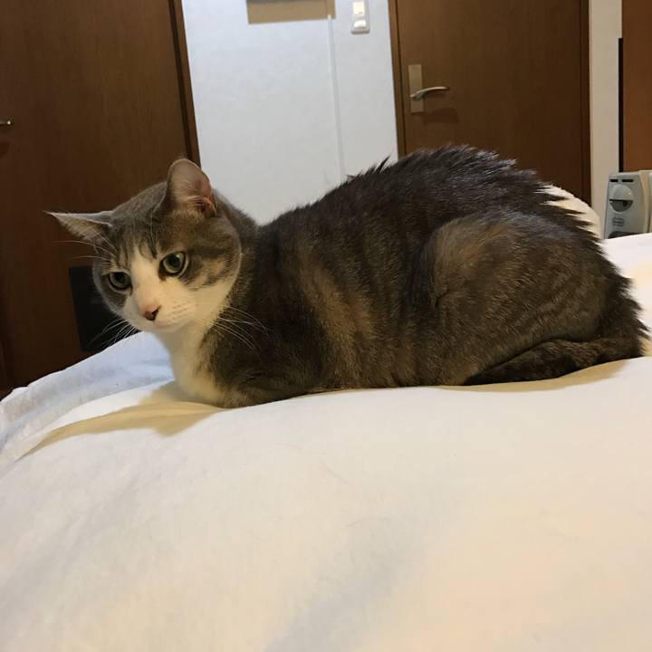 E7d5912b e8ad 4bb5 b6e4 f75bd30fc767