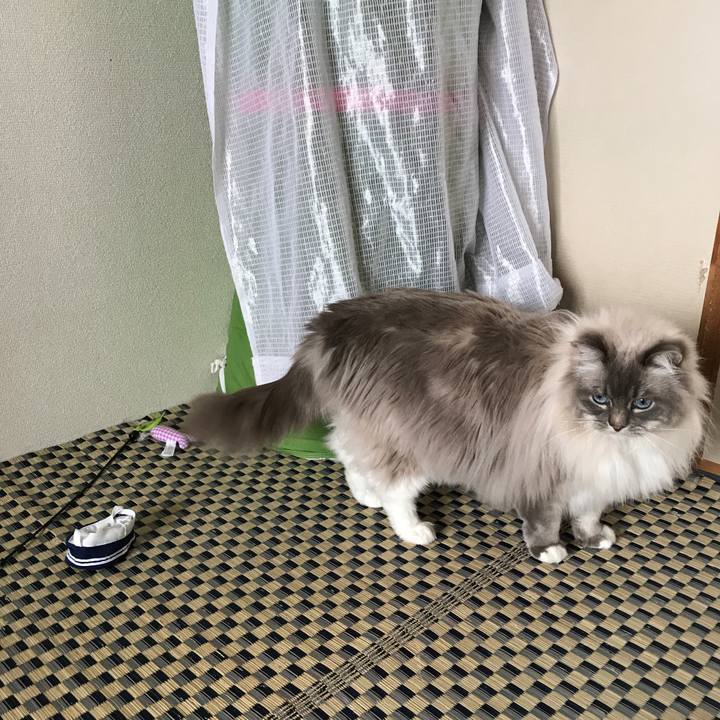 E7d59c85 b89d 4020 8f0f e951fcc489b1