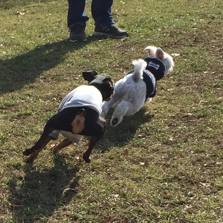 E7d5fcbc 026f 404b bbc0 83c608b7f212